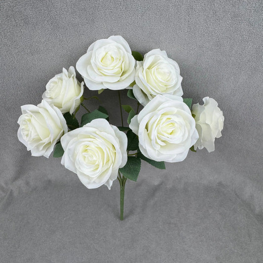 Ivory Silk Happiness Rose Bush - 7 Heads RosesHQ.com