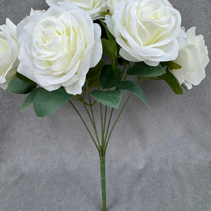 Ivory Silk Happiness Rose Bush - 7 Heads RosesHQ.com