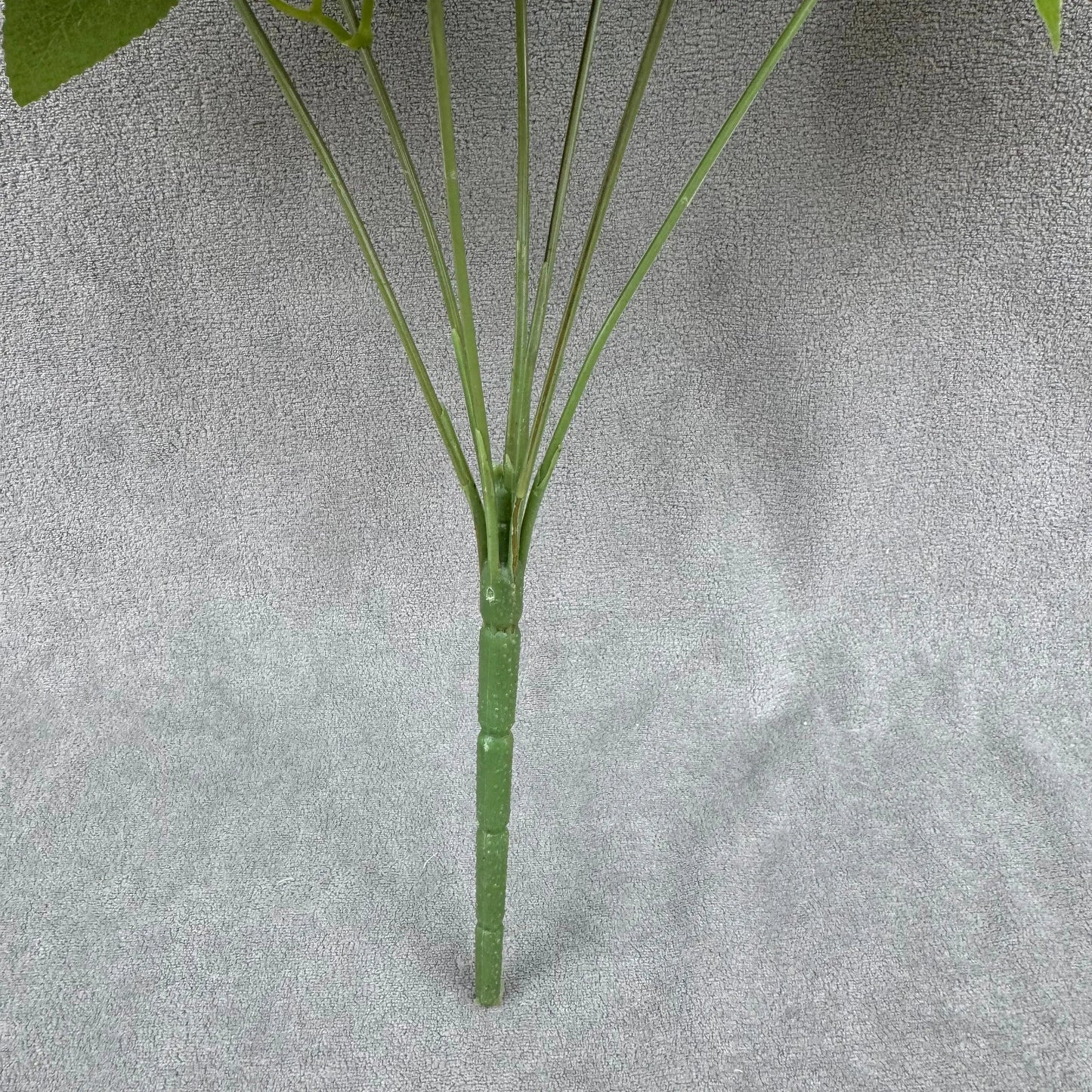 Ivory Silk Happiness Rose Bush - 7 Heads RosesHQ.com
