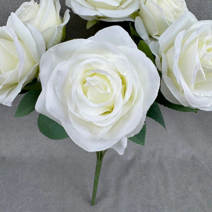 Ivory Silk Happiness Rose Bush - 7 Heads RosesHQ.com