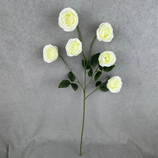 Ivory Silk Empress Rose Bush - 6 Heads RosesHQ.com