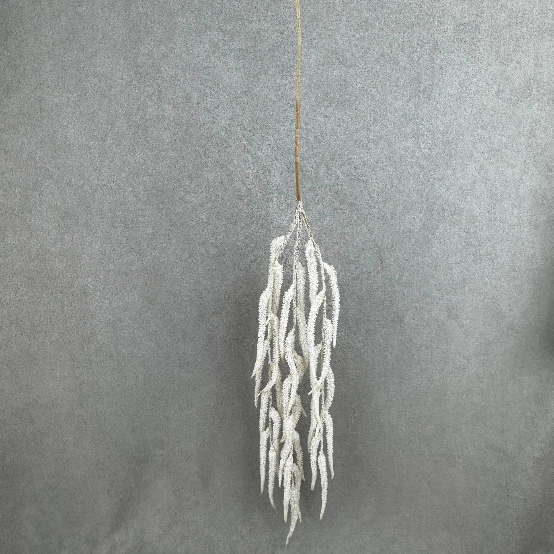 Ivory Silk Amaranthus Stem RosesHQ.com
