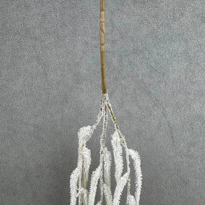 Ivory Silk Amaranthus Stem RosesHQ.com