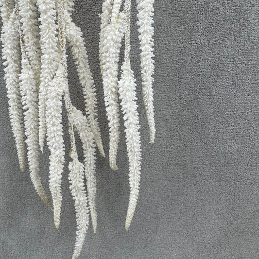 Ivory Silk Amaranthus Stem RosesHQ.com