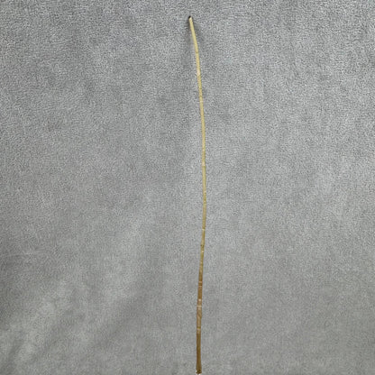Ivory Silk Amaranthus Stem RosesHQ.com