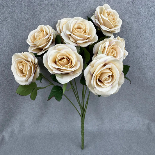 Champagne Silk Holland Rose Bush - 9 Heads RosesHQ.com