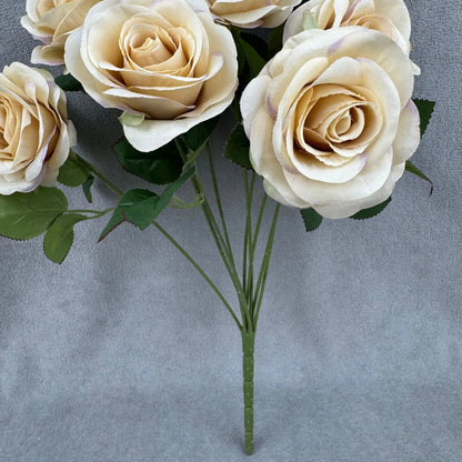 Champagne Silk Holland Rose Bush - 9 Heads RosesHQ.com