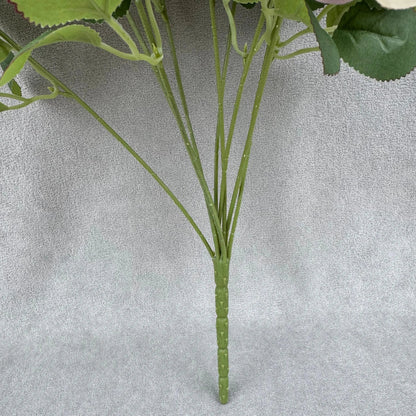 Champagne Silk Holland Rose Bush - 9 Heads RosesHQ.com