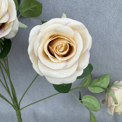 Champagne Silk Holland Rose Bush - 9 Heads RosesHQ.com