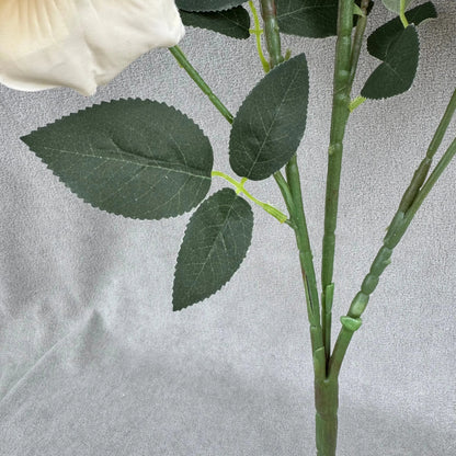 Champagne Silk Classic Rose Branch - 8 Heads RosesHQ.com
