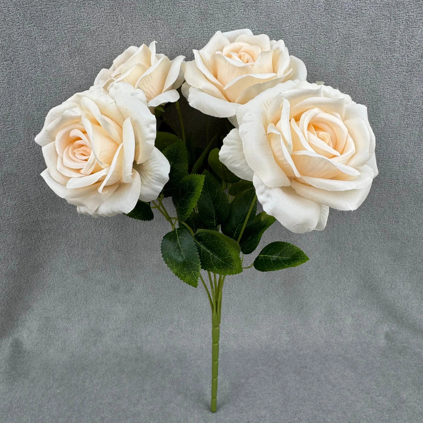 Champagne Silk Star Moon Rose Bush - 7 Heads RosesHQ.com