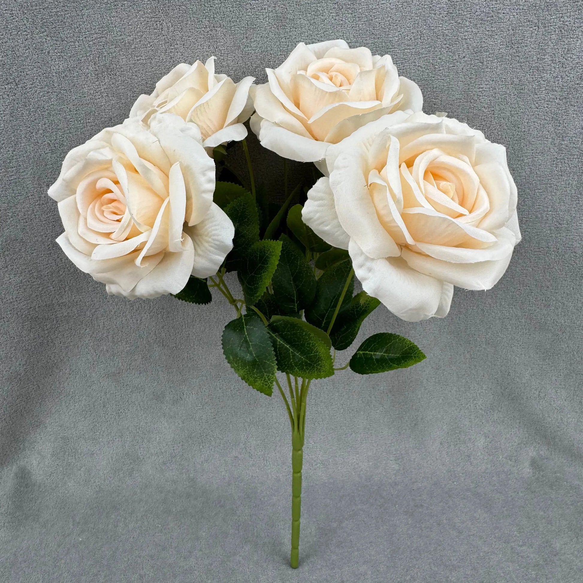 Champagne Silk Star Moon Rose Bush - 7 Heads RosesHQ.com