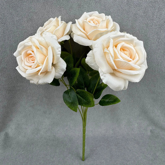 Champagne Silk Star Moon Rose Bush - 7 Heads RosesHQ.com