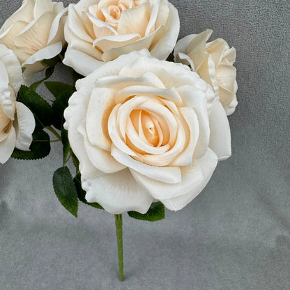 Champagne Silk Star Moon Rose Bush - 7 Heads RosesHQ.com