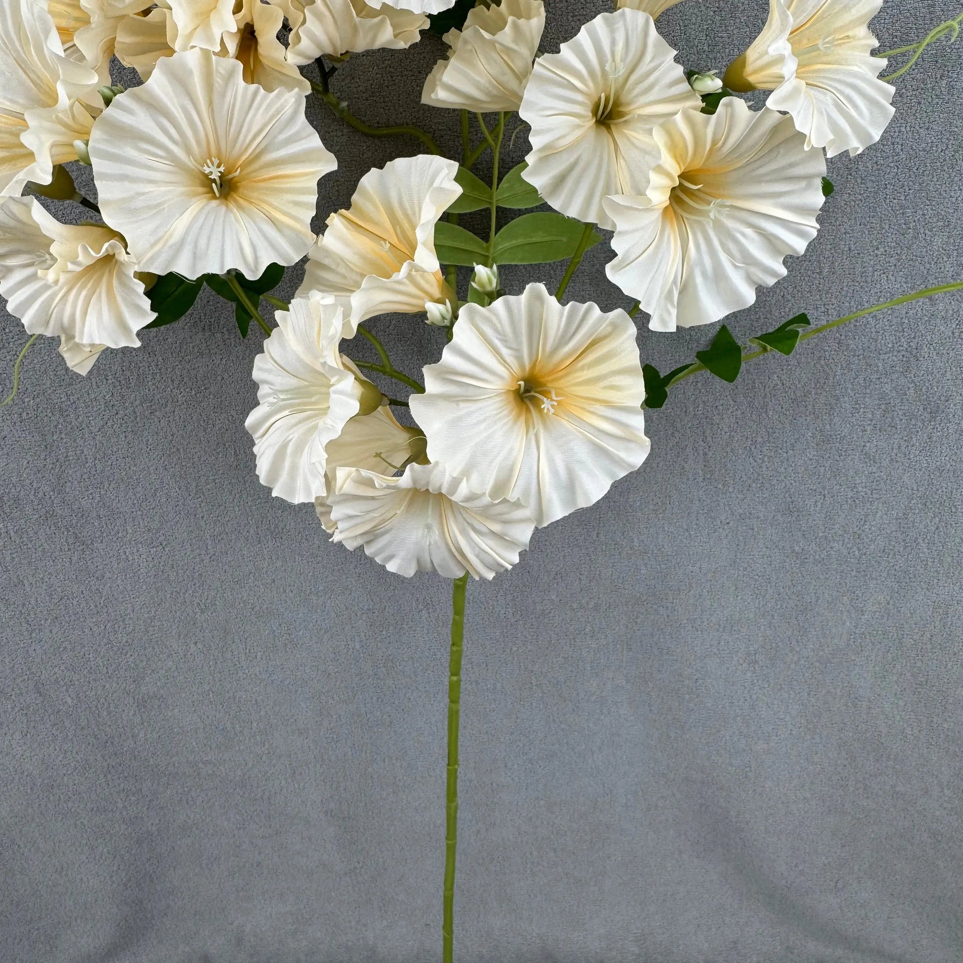 Champagne Silk Morning Glory Spray RosesHQ.com