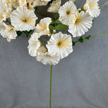 Champagne Silk Morning Glory Spray RosesHQ.com