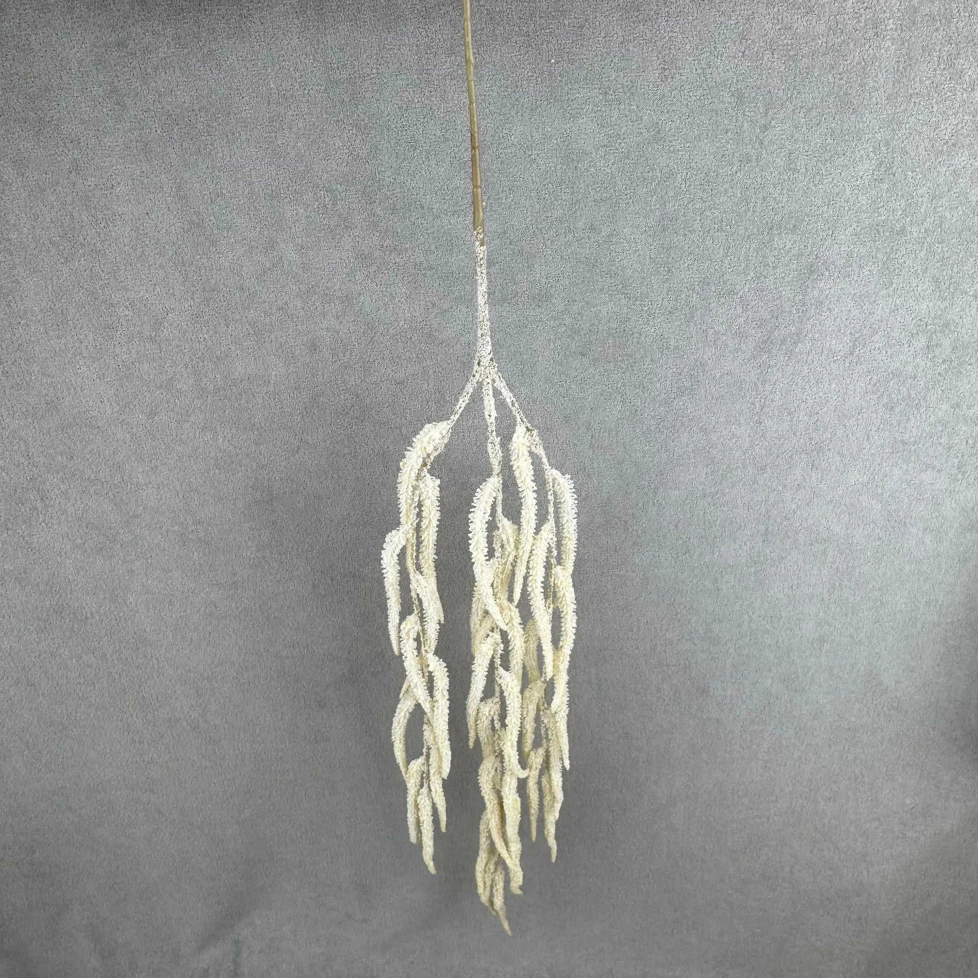 Champagne Silk Amaranthus Stem RosesHQ.com