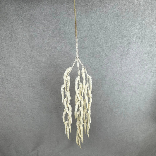 Champagne Silk Amaranthus Stem RosesHQ.com
