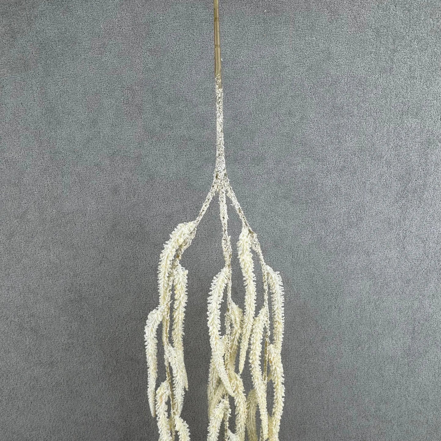 Champagne Silk Amaranthus Stem RosesHQ.com
