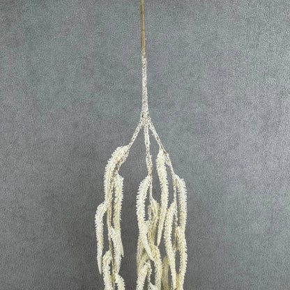Champagne Silk Amaranthus Stem RosesHQ.com