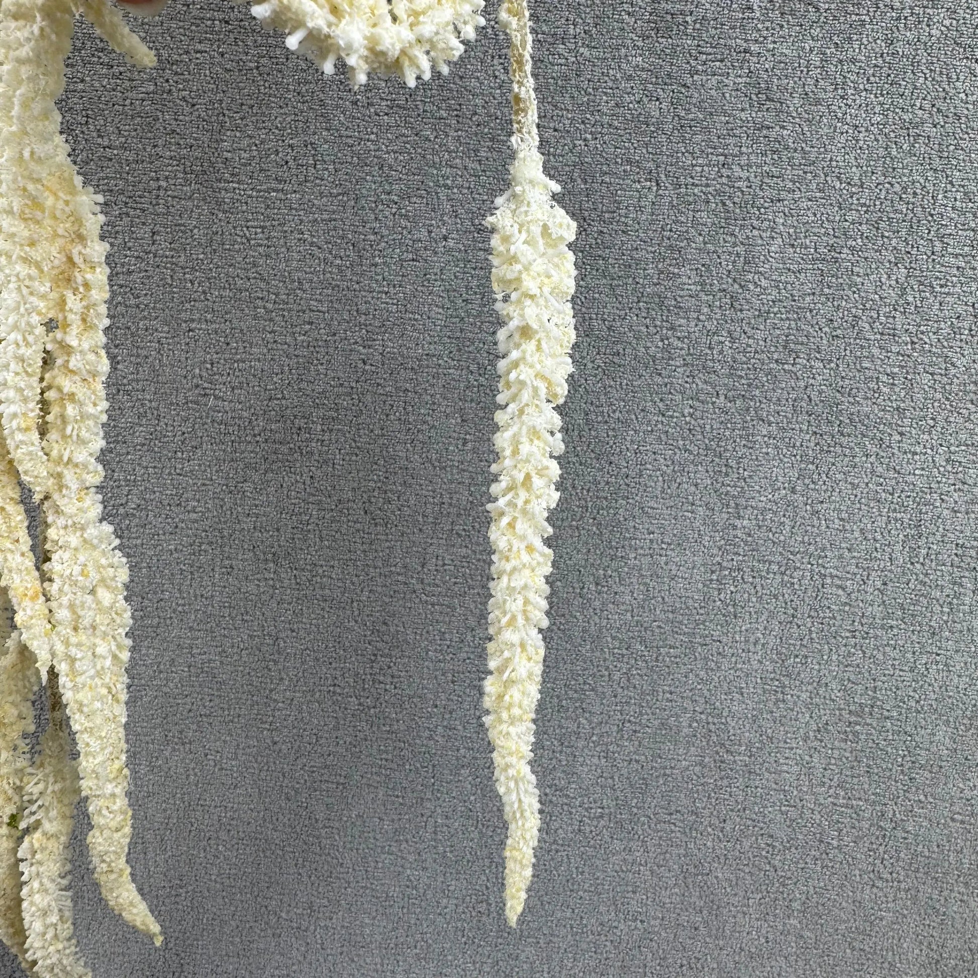 Champagne Silk Amaranthus Stem RosesHQ.com