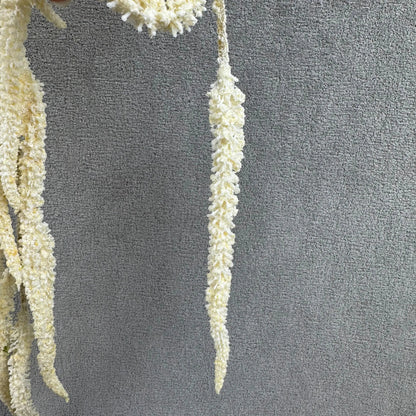 Champagne Silk Amaranthus Stem RosesHQ.com