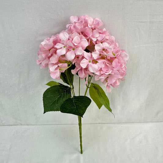 Pink Silk Print Hydrangea Bush - 5 Heads RosesHQ.com