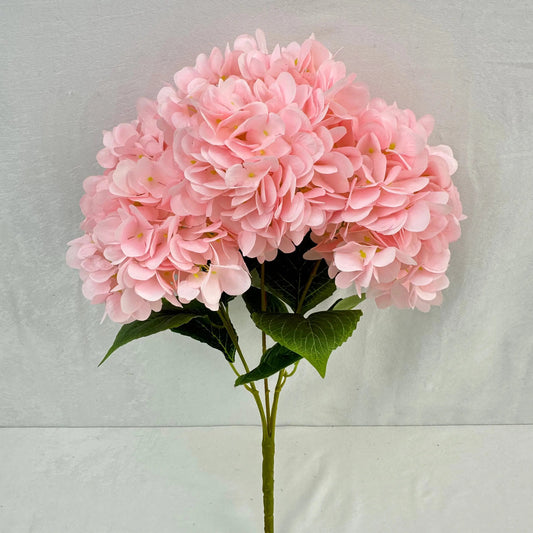 Pink Silk French Hydrangea Bush - 5 Heads RosesHQ.com