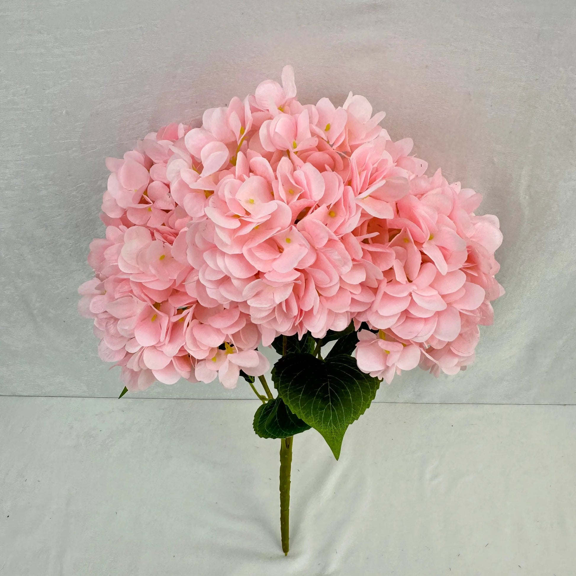Pink Silk French Hydrangea Bush - 5 Heads RosesHQ.com