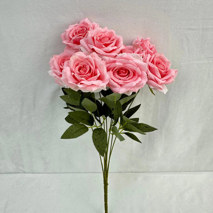 Pink Silk Diamond Rose Bush - 9 Heads RosesHQ.com