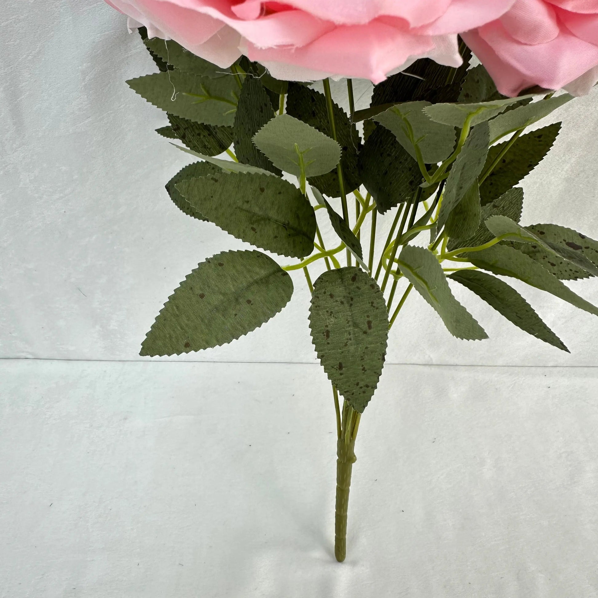 Pink Silk Diamond Rose Bush - 9 Heads RosesHQ.com