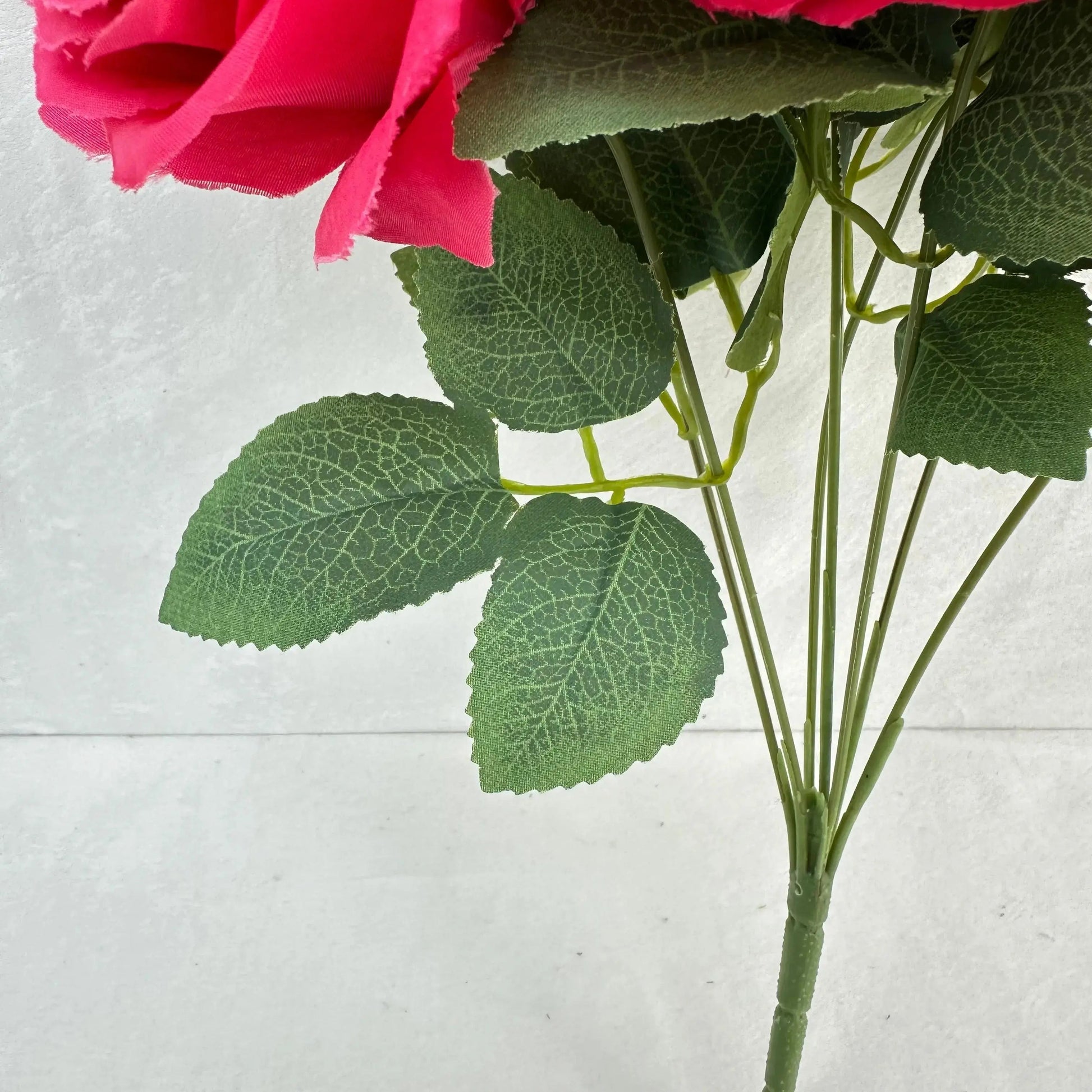 Pink Silk Happiness Rose Bush - 7 Heads RosesHQ.com