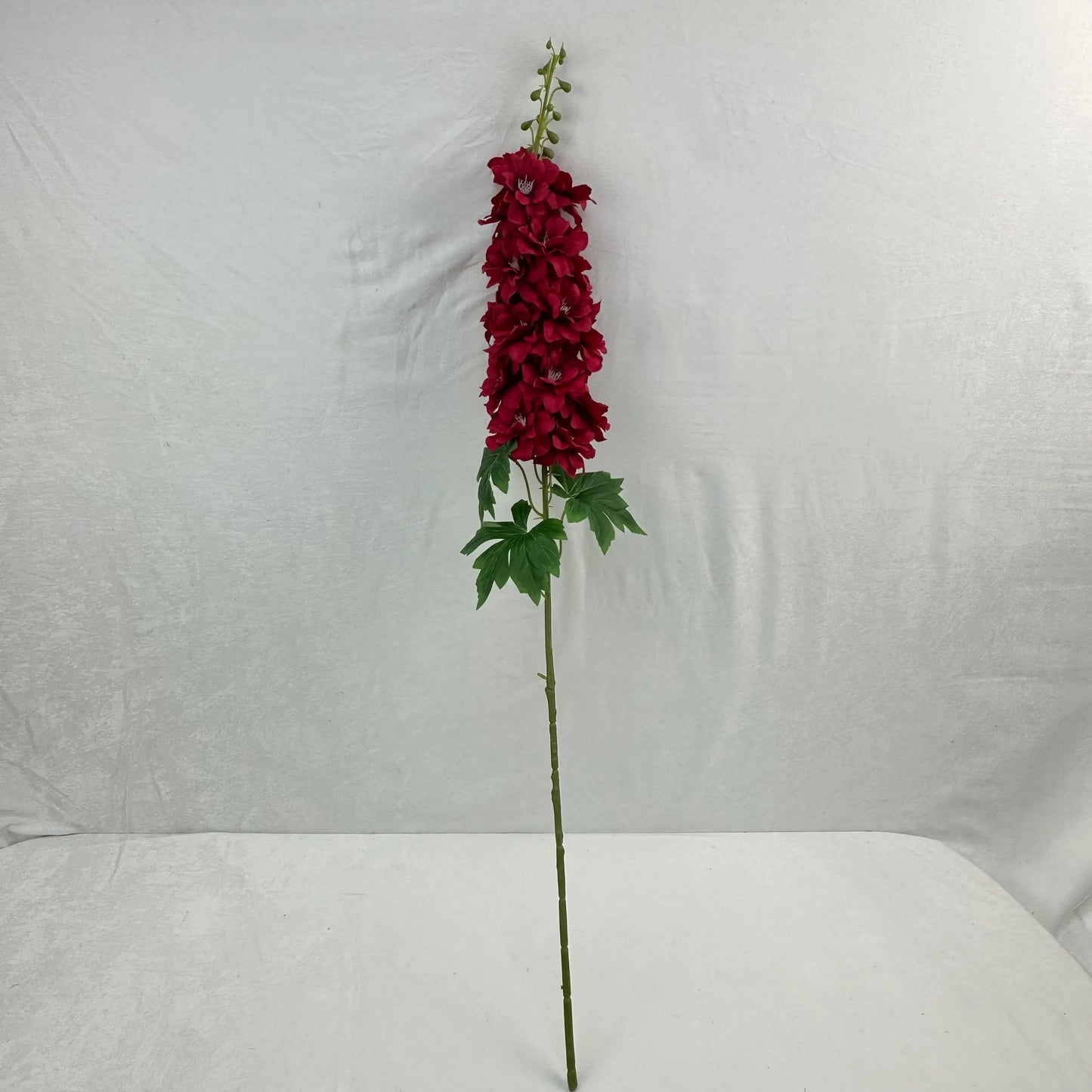 Red Silk Spring Larkspur Stem RosesHQ.com