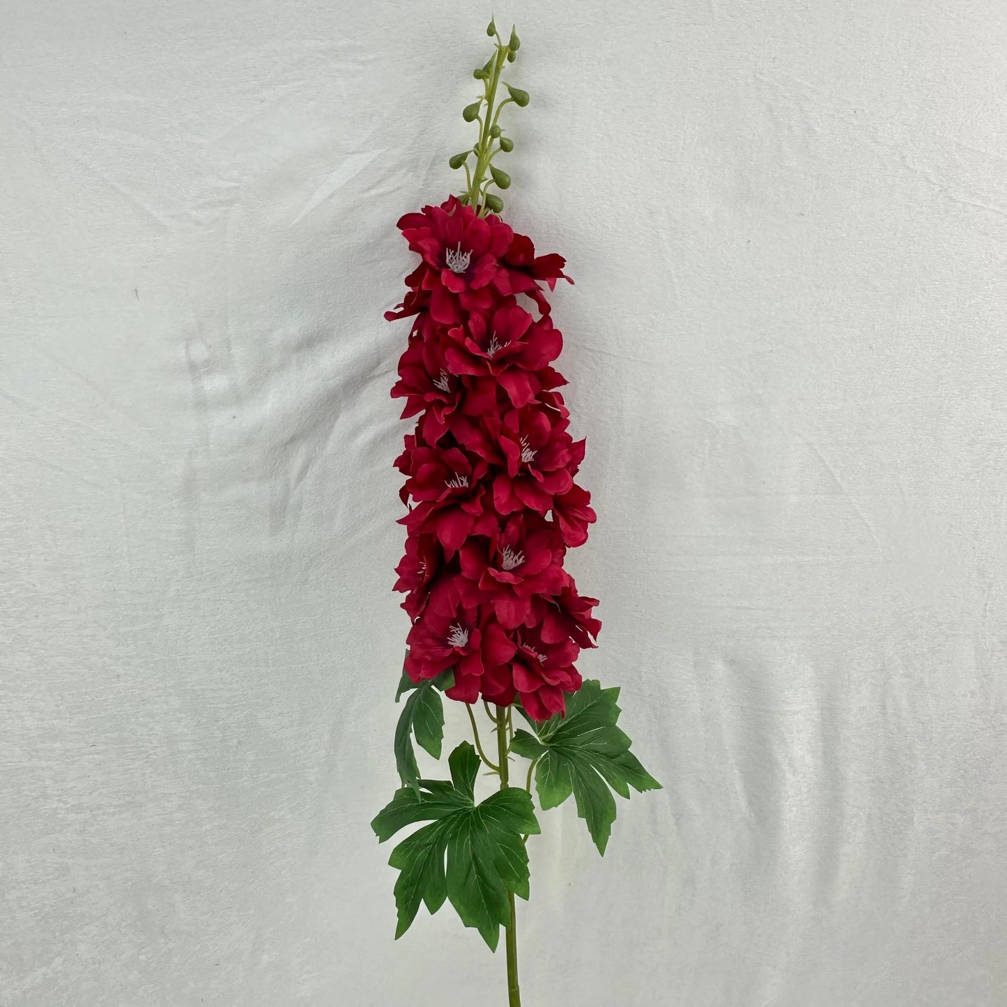 Red Silk Spring Larkspur Stem RosesHQ.com