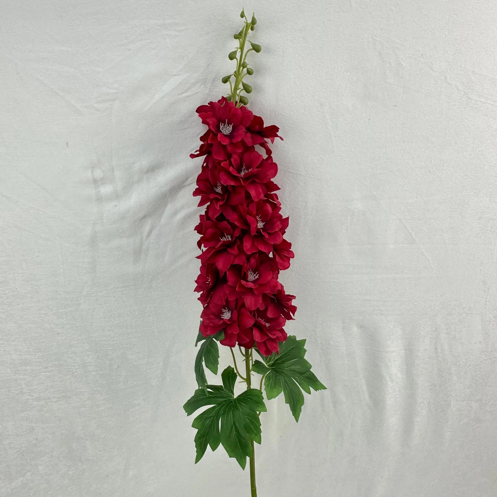 Red Silk Spring Larkspur Stem RosesHQ.com