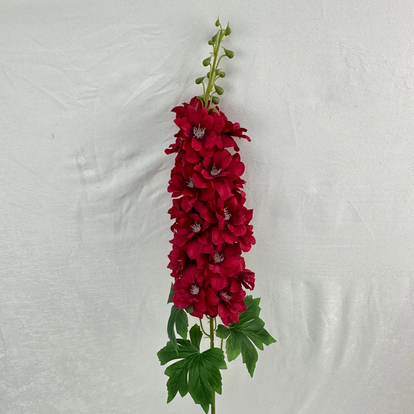 Red Silk Spring Larkspur Stem RosesHQ.com