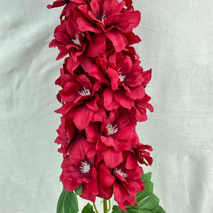 Red Silk Spring Larkspur Stem RosesHQ.com