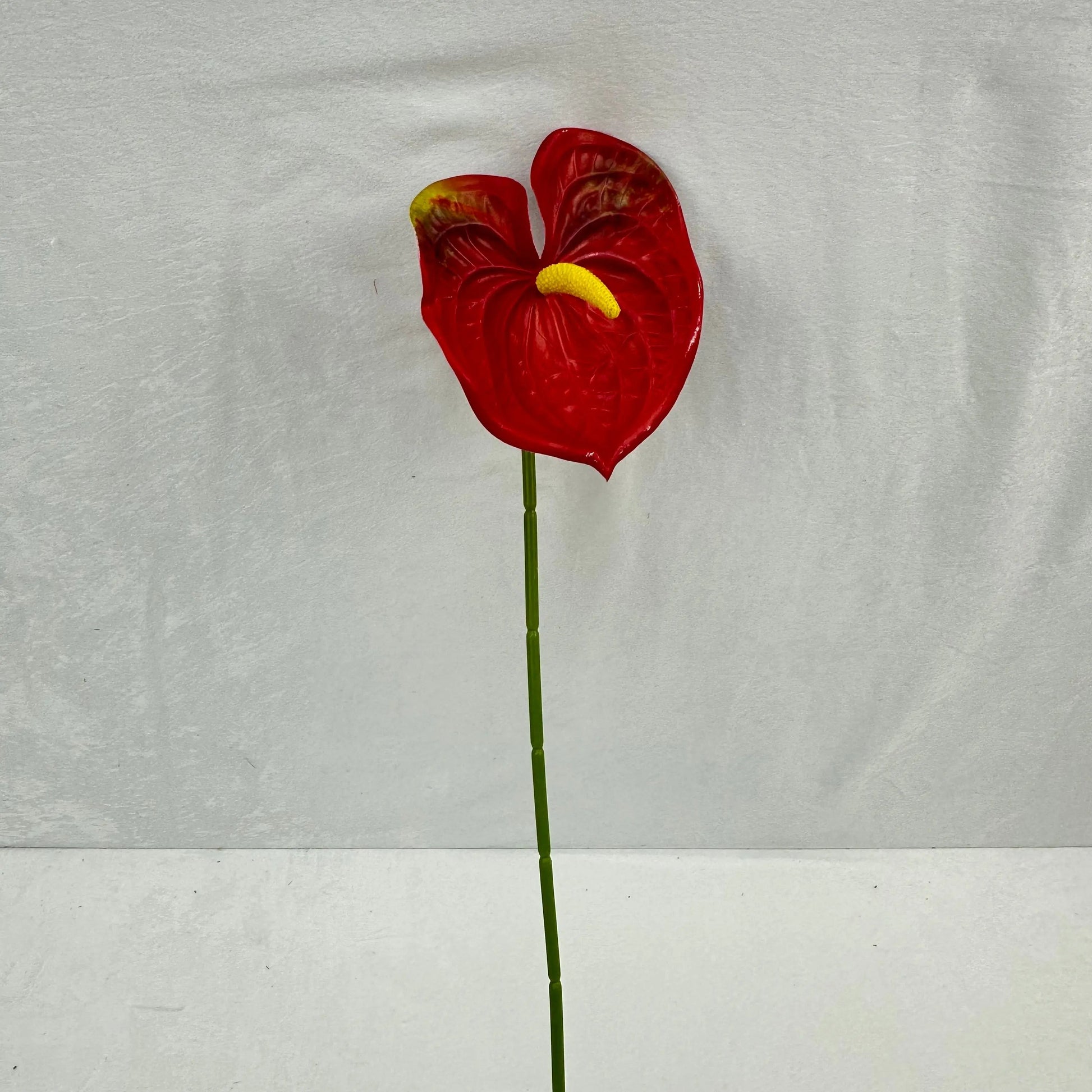 Red Real Touch Anthurium Stem RosesHQ.com