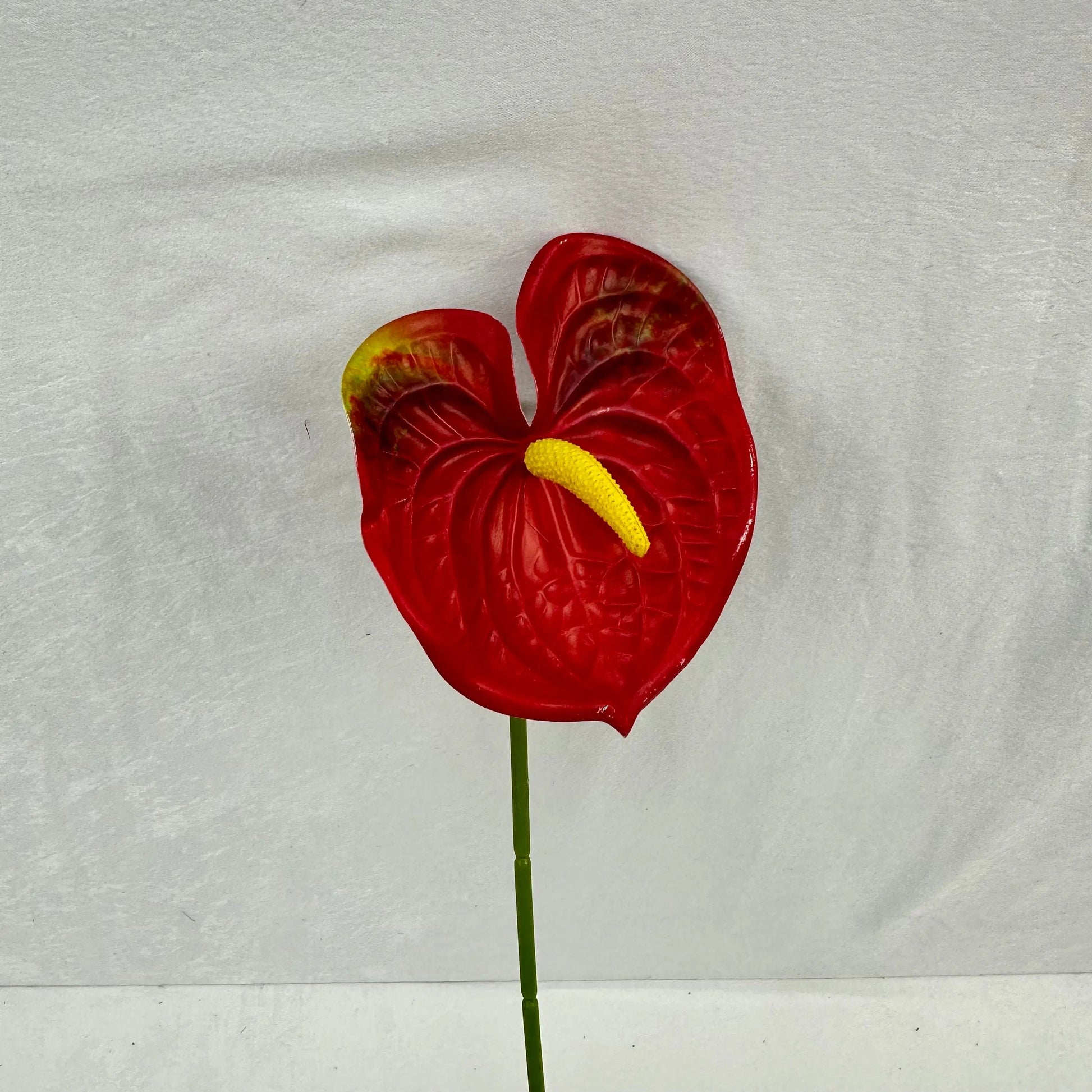 Red Real Touch Anthurium Stem RosesHQ.com