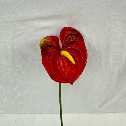Red Real Touch Anthurium Stem RosesHQ.com