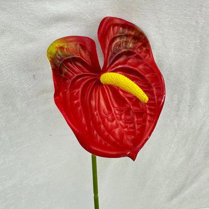 Red Real Touch Anthurium Stem RosesHQ.com