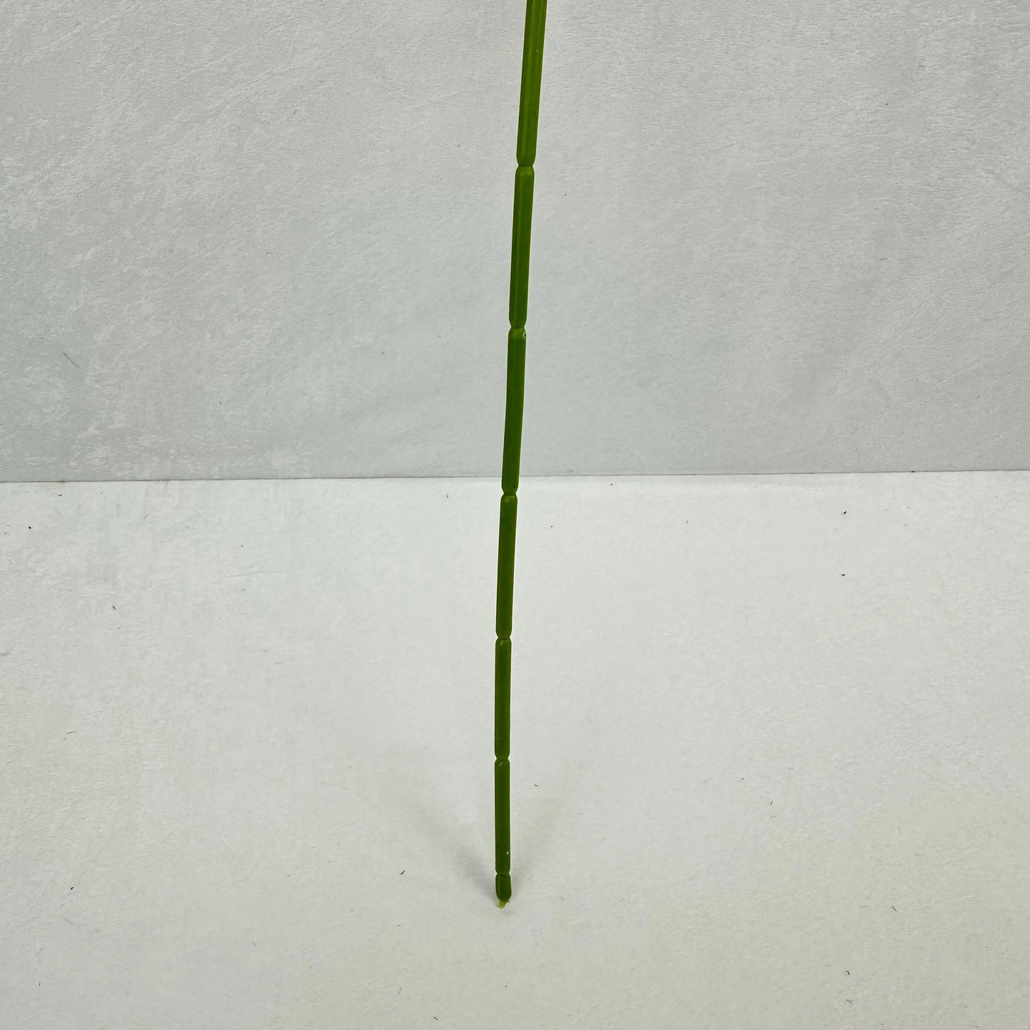 Red Real Touch Anthurium Stem RosesHQ.com