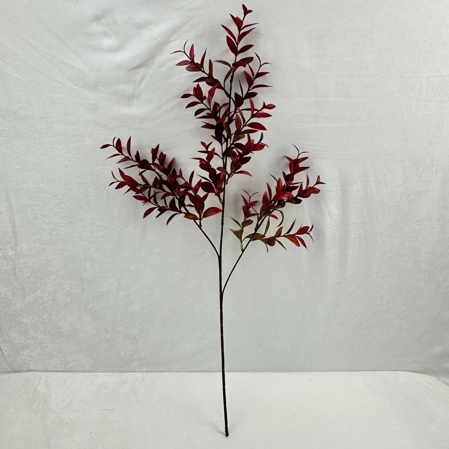 Red Sydney Vanilla Leaf Branch RosesHQ.com