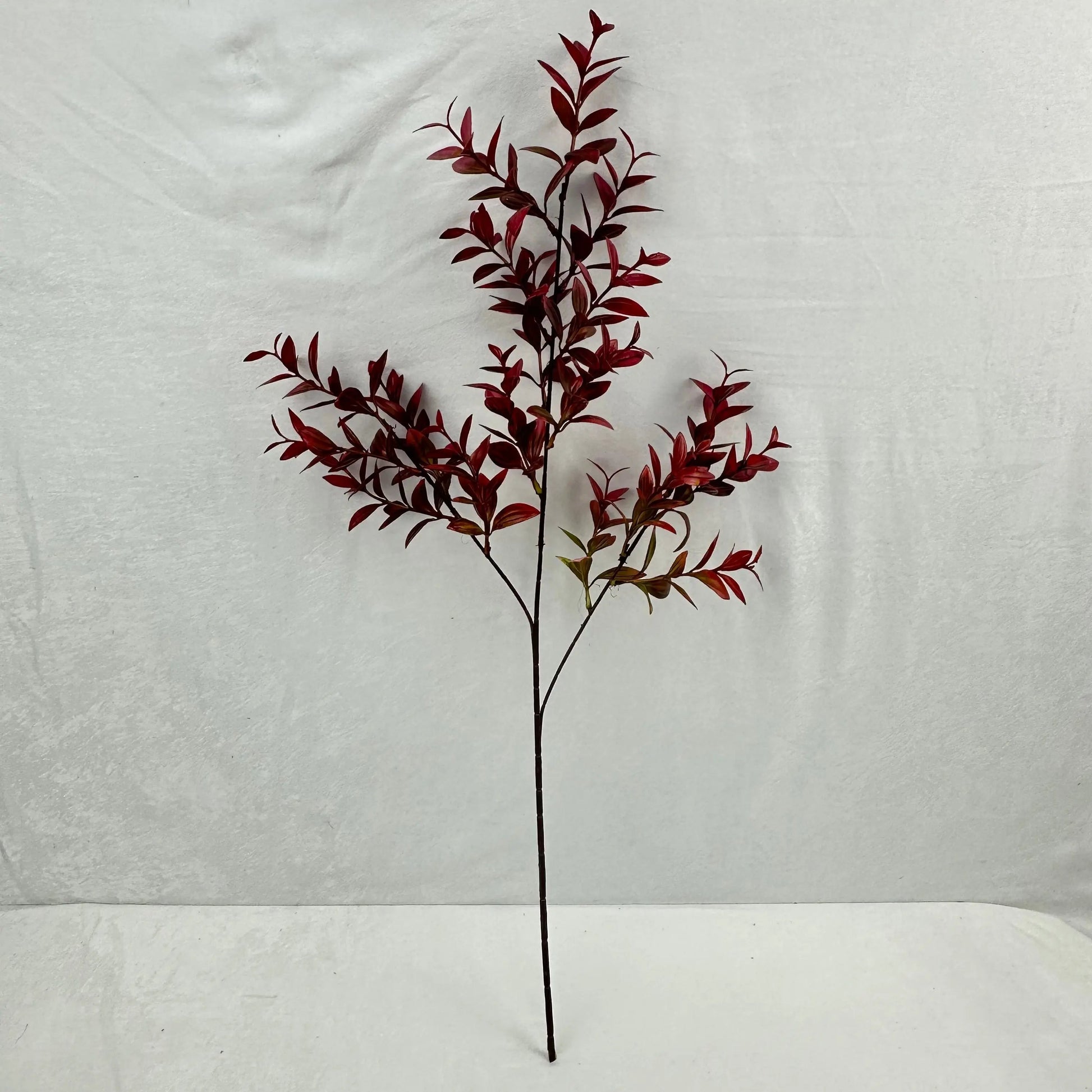 Red Sydney Vanilla Leaf Branch RosesHQ.com