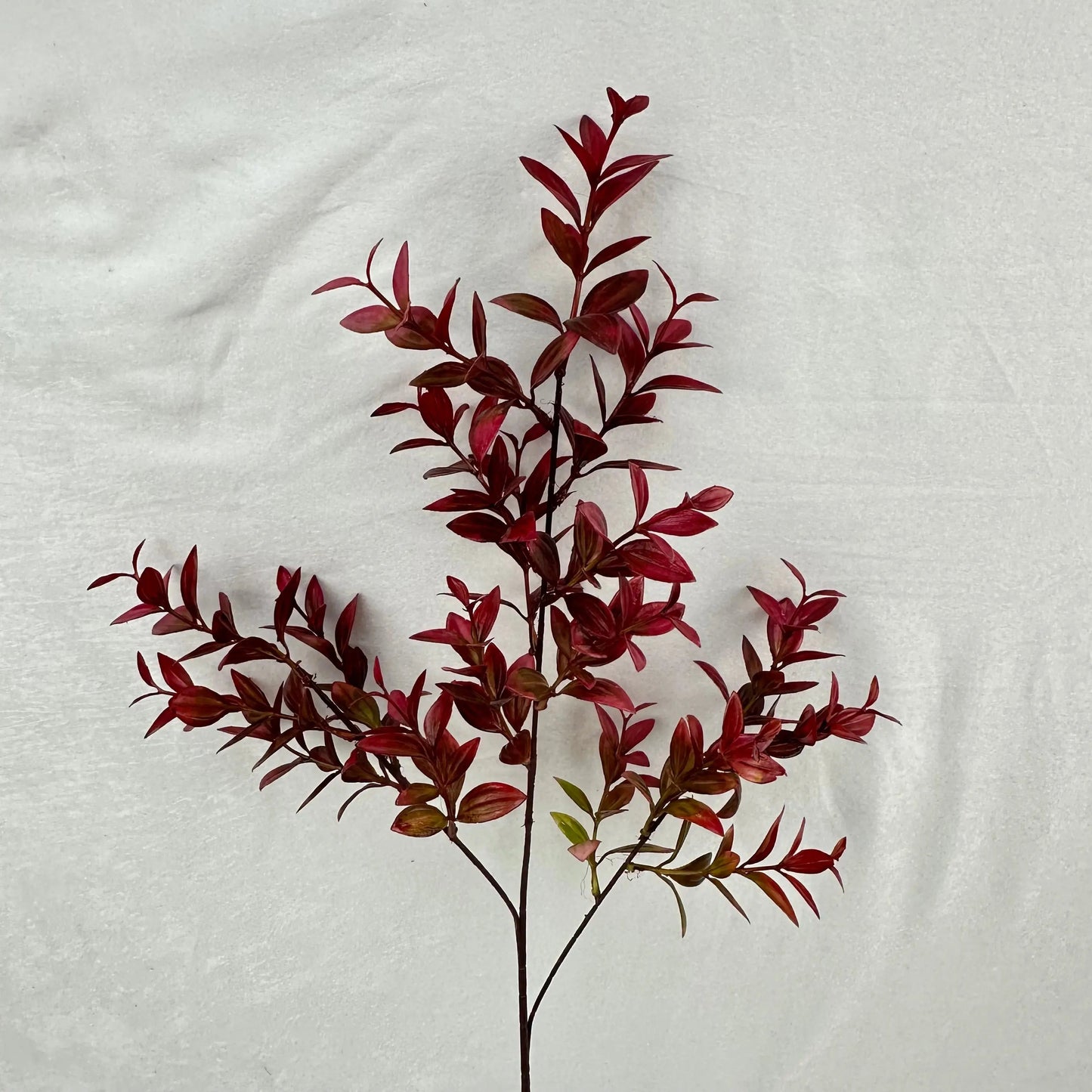 Red Sydney Vanilla Leaf Branch RosesHQ.com