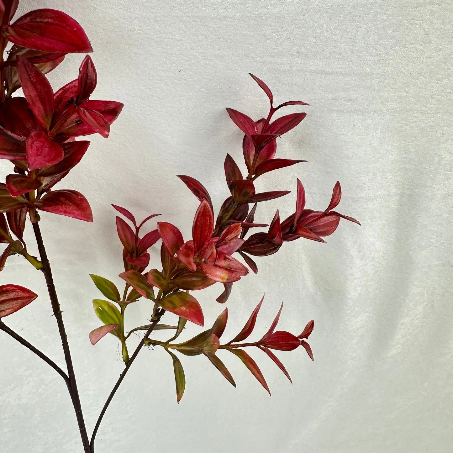 Red Sydney Vanilla Leaf Branch RosesHQ.com