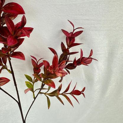 Red Sydney Vanilla Leaf Branch RosesHQ.com