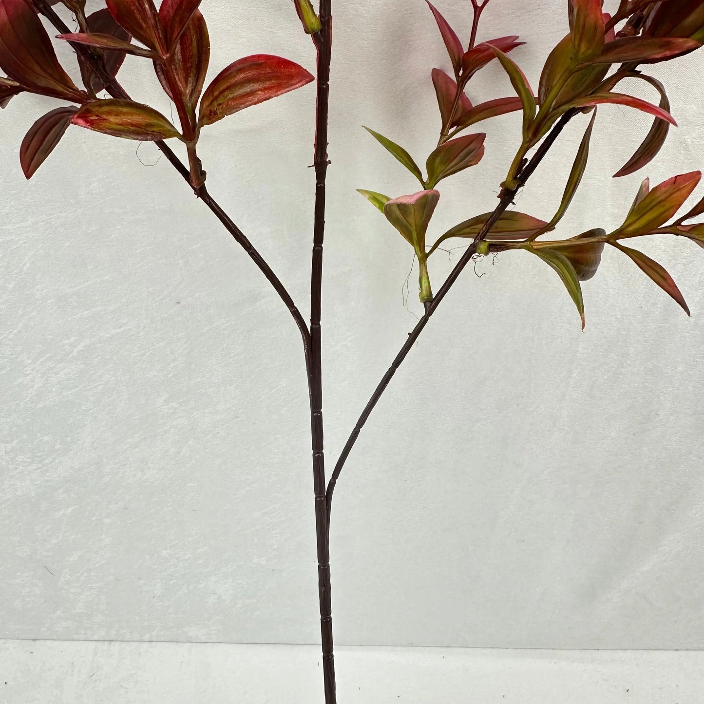 Red Sydney Vanilla Leaf Branch RosesHQ.com
