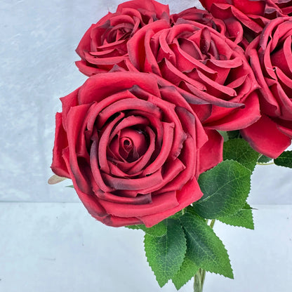 Red Silk Dream Empress Rose Bush - 9 Heads RosesHQ.com