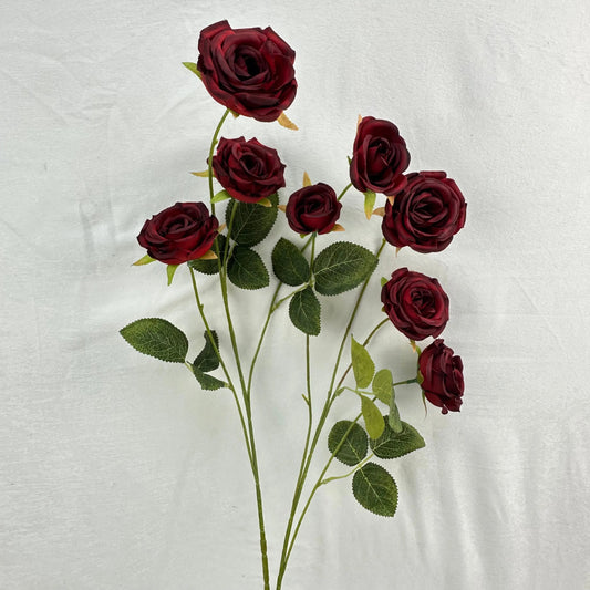 Red Silk Empress Rose Bush - 8 Heads RosesHQ.com